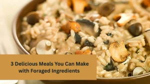 3 Delicious Meals You Can Make with Foraged Ingredients