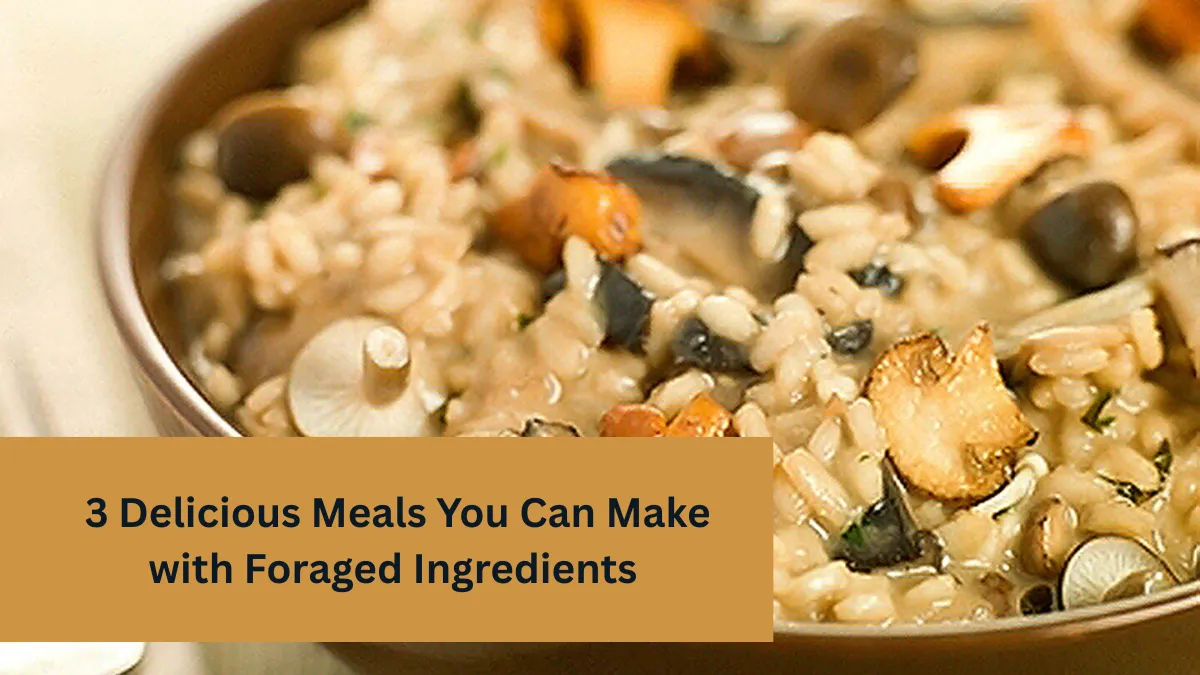 3 Delicious Meals You Can Make with Foraged Ingredients